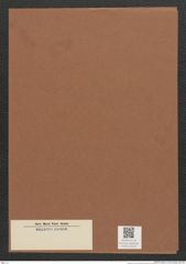 Diatomeae indet. Zeichnungen Sammlung Grunow Mappe 02313 (Herbarium_W_Grunow_drawings_Folder_02313)